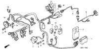 Wire Harness