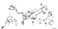 Wire Harness