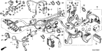 Wire Harness (1)