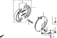 Front Brake + Front Brake Panel