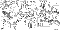 Wire Harness (1)
