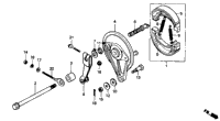 Rear Brake Panel