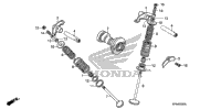 Camshaft + Valve