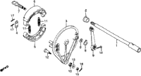 Rear Brake Panel