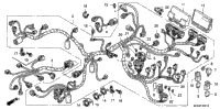 Wire Harness (St1300a)