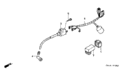 Wire Harness