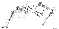 Camshaft + Valve (Rr.)
