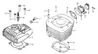 Cylinder Head + Cylinder