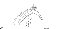 Front Fender