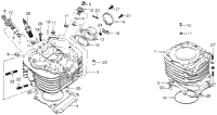 Cylinder Head + Cylinder