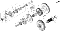 Primary Drive Gear