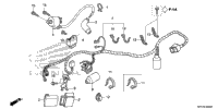 Wire Harness