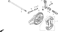 Rear Brake@Rear Brake Panel