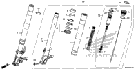Front Fork (1)