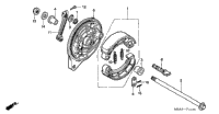 Rear Brake Panel