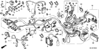 Wire Harness (1)