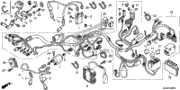 Wire Harness (1)