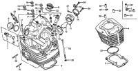 Cylinder Head + Cylinder