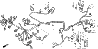 Wire Harness