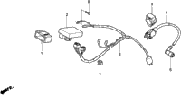 Wire Harness