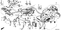Wire Harness (2)