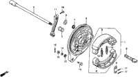 Rear Brake Panel