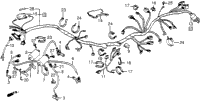 Wire Harness