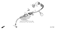 Wire Harness
