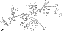 Wire Harness