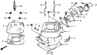 Cylinder + Cylinder Head