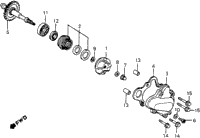 Water Pump 82