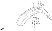 Front Fender