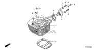 Cylinder + Tensioner