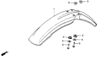 Front Fender