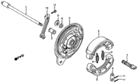 Rear Brake Panel
