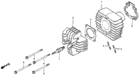 Cylinder Head + Cylinder 79-80