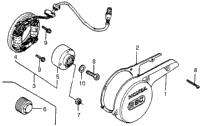 Left Crankcase Cover + Alternator