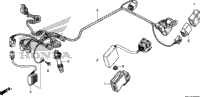 Wire Harness