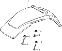 Front Fender