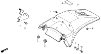 Rear Fender