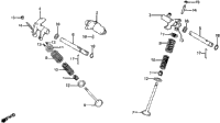 Camshaft + Valve