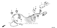 Wire Harness