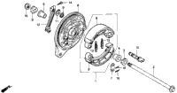 Rear Brake Panel