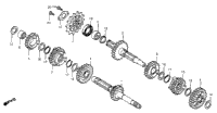 Transmission 81-82