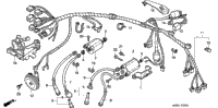 Wire Harness