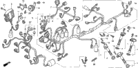 Wire Harness