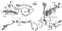 Ignition Coil@Ecu