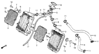 Radiator 81