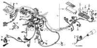 Wire Harness