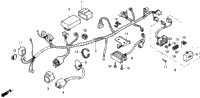 Wire Harness